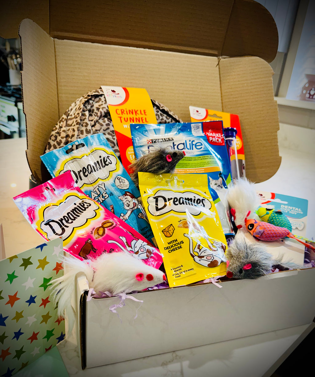 Assorted cat treats and toys with Dreamies packaging in a gift box with a handwritten card £30
